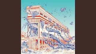Filter Feeder