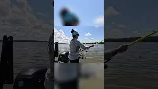 Giant Fish Caught and Released: Fisherman's Tough Decision! #shorts