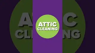 Best Attic Cleaning near San Leonardo, CA