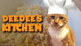My Cat's Kitchen - Episode 5: Kittylicious Egg Fried Rice | Cat Cooking Show