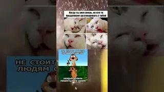 мем #meme #мем