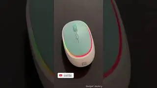 Portronics Toad IV Wireless Mouse.