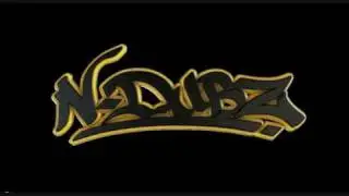 N-Dubz Feat Bodyrox - We Dance On W/Lyrics