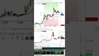 AI Day trade of the day $PLX #shorts