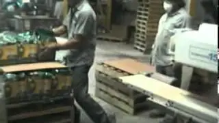 Lincube Semi auto filling machine
