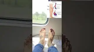 Burn Fat Belly:Feet Exercise #optimalfitness11 #shorts #youthfulexercises #feetwork #burnfatbelly