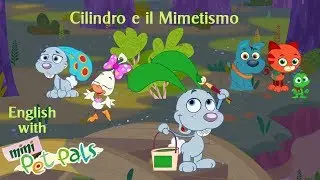 English with MiniPetsPals! Cilindro e il Mimetismo! Compilation | Inglese con i MiniCuccioli