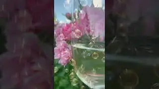 Summer mood with magic bubbles. Relax summer2022. Летнее настроение с пузырьками. Лето2022