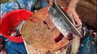 Amazing Fish cutting skill Live. #live  #fishcutting #fishcutting_skills #viral