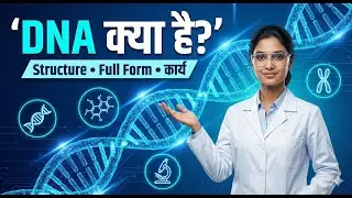 DNA की संरचना  | DNA की  ख़ोज | DNA Full Form | DNA in Hindi | DNA Structure | Work Of DNA | DNA