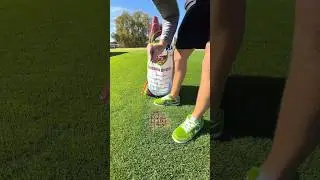 Dog Pee Season is Back