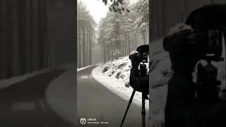 Captivating Winter Landscapes: A Photographic Journey in Troodos, Cyprus