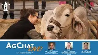 AgChat LIVE: Episode 3
