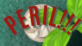 SNATCHING SILVER 'neath Perilous Poison while Metal Detecting Withlacoochee&rsquo;s Banks!