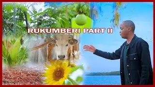UKO RUKUMBERI YABA IGICUMBI CY'ISHORAMARI |YAKEMURA IKIBAZO CY'INZARA NIBICIRO BY'IBIRIBWA MU RWANDA