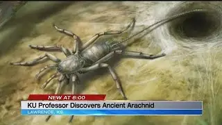 KU professor describes newly discovered prehistoric spider