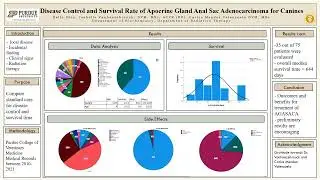 Disease Control and Survival Rate of Apocrine Gland Anal Sac Adenocarcinoma for Canines