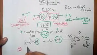 Esterification reaction  class 10 CBSE  by Seema  Seema Makhijani
