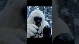 Yeti-Boo here, tapping ASMR #vlog #wilderness #wildrrness #yetiboo #asmr