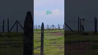 Kaas pathar satara latest update September 2025  #shortsfeed #kaas2025 #satara #flowers #viral