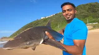 My first Shark! Drone Fishing for sharks at Ansteys Beach. Bluff KZN