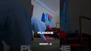 progression wekk-3 #music #song #calesthenics #progreson