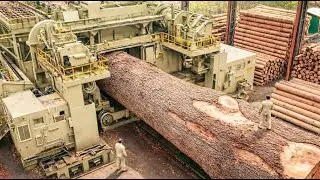 Inside a Massive Sawmill Factory &ndash; Complete Plywood Manufacturing Process