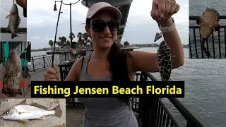 Fishing Jensen Beach Florida Causeway
