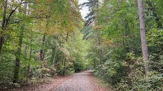 The most beautiful Fall Hiking | A&Y Greenway | Fall Color