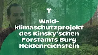 Kinsky'sches Forstamt Burg Heidenreichstein: Zukunft sichern durch Erhalt des Kohlenstoffspeichers