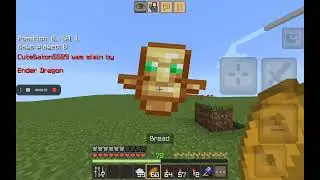 'MACE'. Is so op