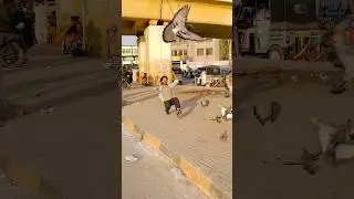 Skating Stunt #public #reaction #skating #trending #2026