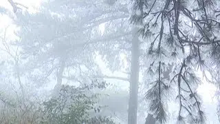 Cold wave turns east China into winter wonderland