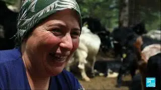 The last nomads of Anatolia: Y&ouml;r&uuml;k herders in Turkey struggle to keep traditions alive &bull; FRANCE 24