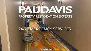 Paul Davis Property Restoration Specialists