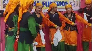 Animal program school Rampur bushahar 