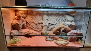 Isis Goddess Themed Terrarium Background for Bearded Dragon! | EGYPT