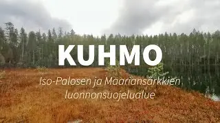 3 päivää  Iso-Palosen ja Maariansärkkien luonnonsuojelualueella Kuhmon takamailla | retkeily vaellus