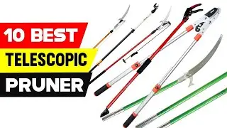 Top 10 Best Telescopic Pruners for On Aliexpress
