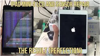 iPad Mini 5 LCD and Glass Repair (Prefect and Cheap Repair)