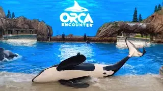 ORCA ENCOUNTER FULL SHOW (CLOSE-UP) SEAWORLD SAN DIEGO, CALIFORNIA 4K