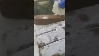 XFP-550 Meat dicer.