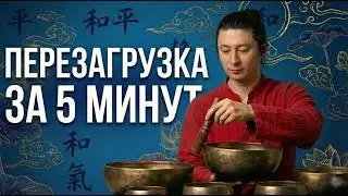 Тотальная перезагрузка мозга через звук | Как выйти из тревоги и выгорания