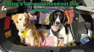 Sakura Universal Headrest Dog Guard   MG ZS EV