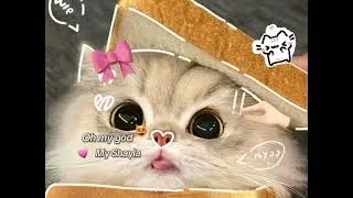 imut banget 🤭🤭 