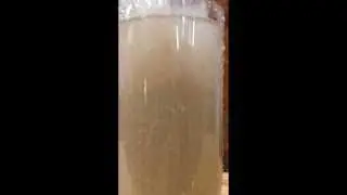 PWS Air Nozzle Air Scour Demonstration