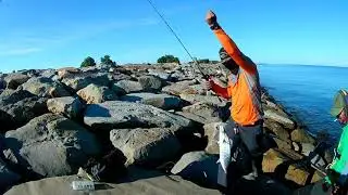 Kerapu Hybrid & Tenggiri- Landbase Casting Tambak Runway Tanjung Aru Beach 3