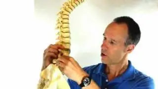 Herniated Disc Pain Relief Stretches - Back Pain Stretches