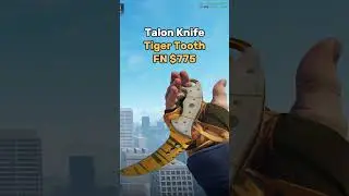 The best Talon Knives Under $800 in CS 2 #cs2 #cs2skins #cs2gameplay #counterstrike