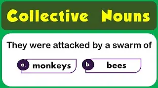 Collective Nouns Quiz / 15 Questions